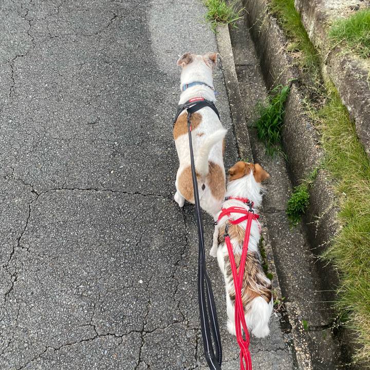 B09396bb 10ac 4d71 9ddf b03af9868032 1632007964782