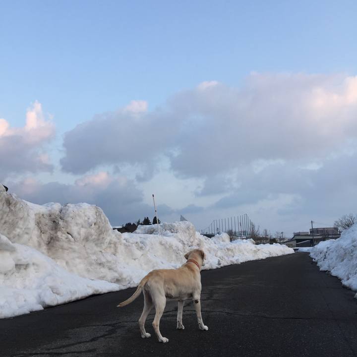 B0939f71 5487 496d 8f72 fe631588b31b 1547451037854