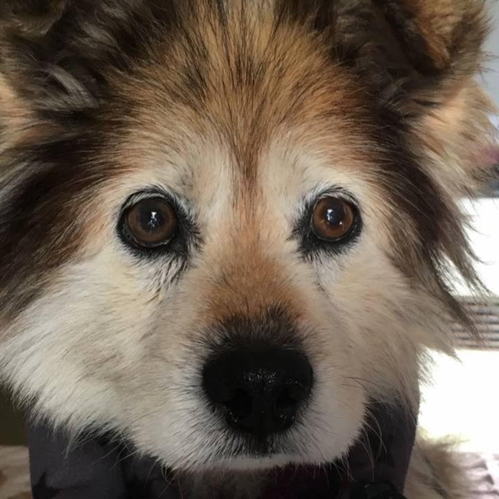 B093a691 ce7d 4fa9 b0d0 1b1d2f06fb39 1627082475908