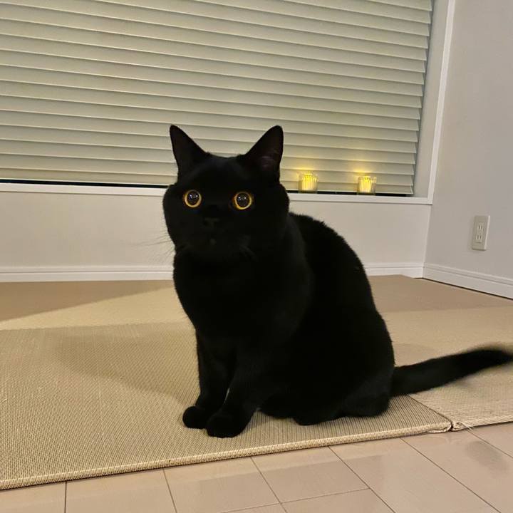 B093aadf 73e8 42d1 bc8c 269af1f2b55d 1609589000043