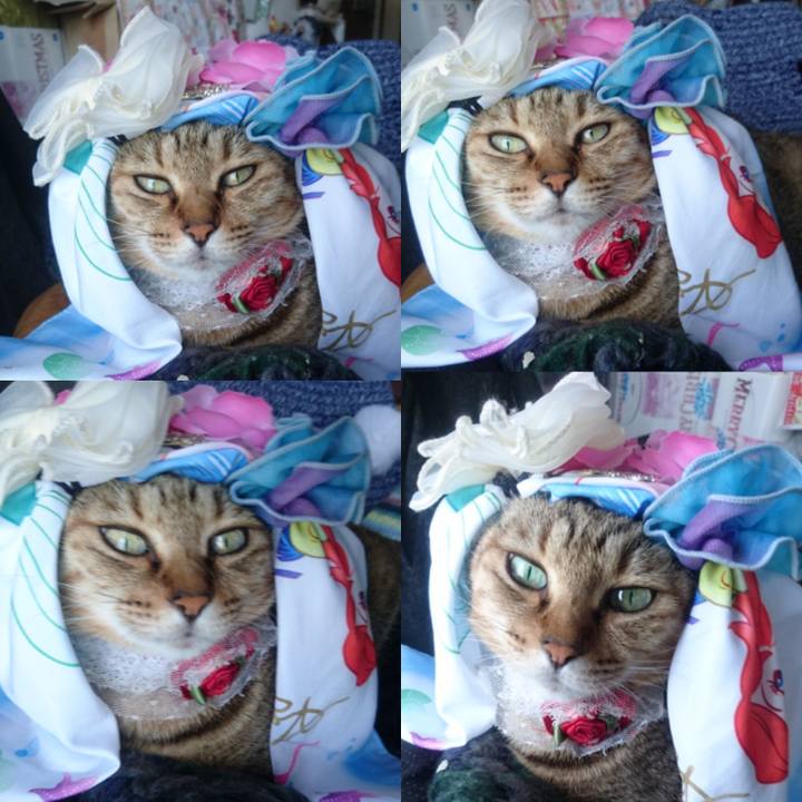 B093ae10 cb35 46ee 81a5 51a03863e7c1 1771369510009