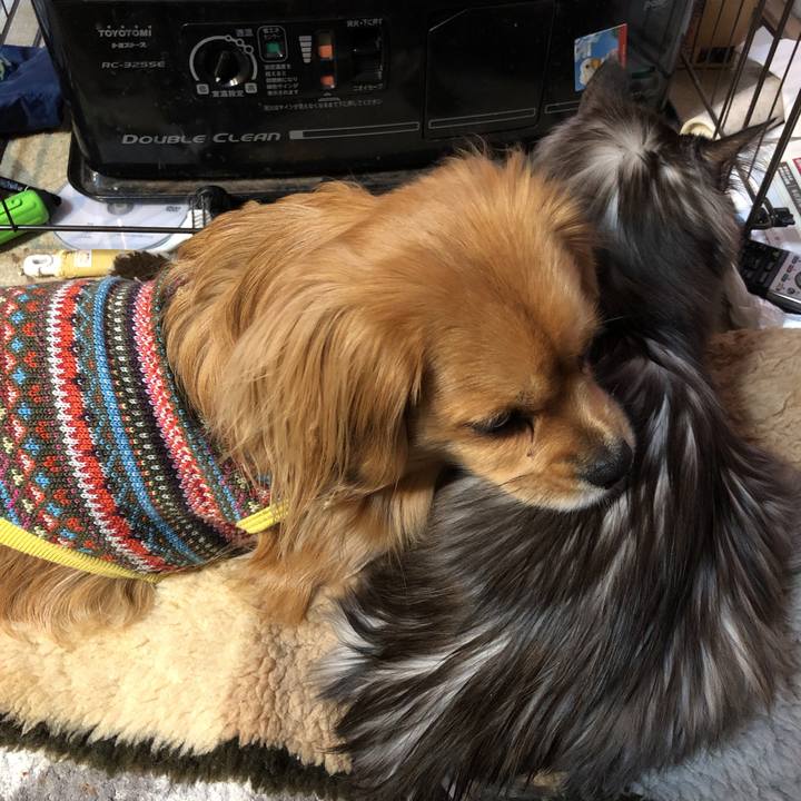 B093e41a 0a55 4249 b032 bf4fb1f7090d 1551130779595