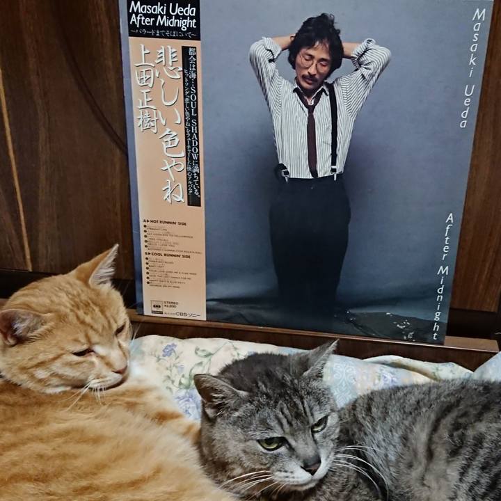 B093fc45 3f92 4ae5 8843 ab92ff42ea6f 1590494788334