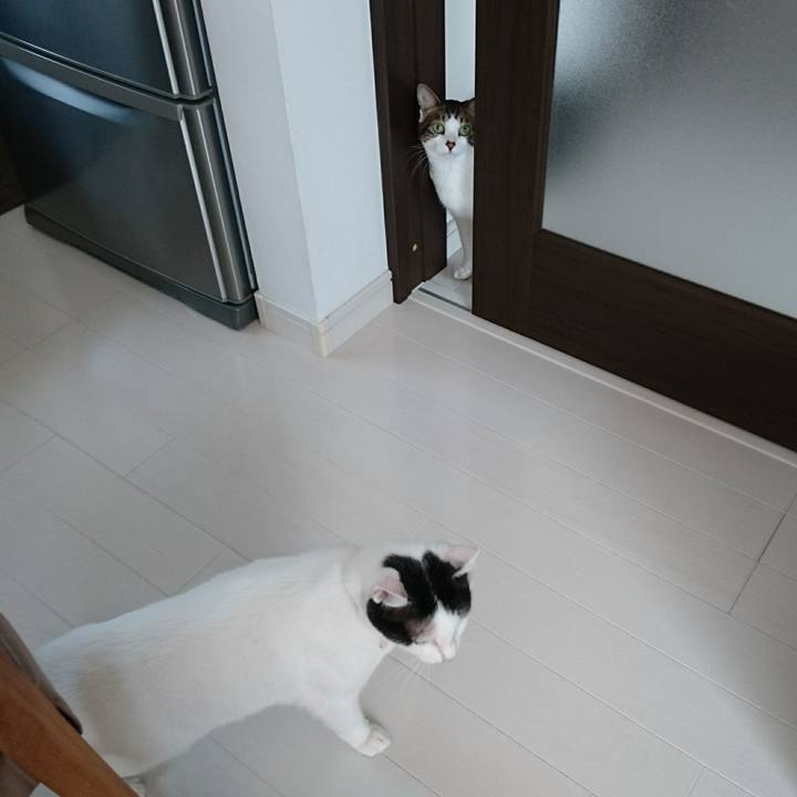 B0943973 b1de 4ac0 816d f68cef4ef427 1533479499892