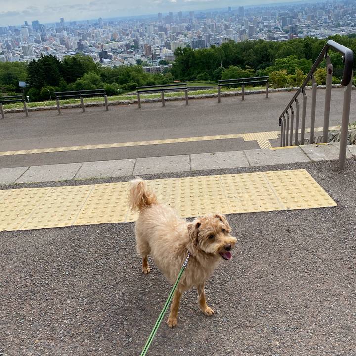 B0944676 3b3c 44de 9793 d71d39599967 1625833298341