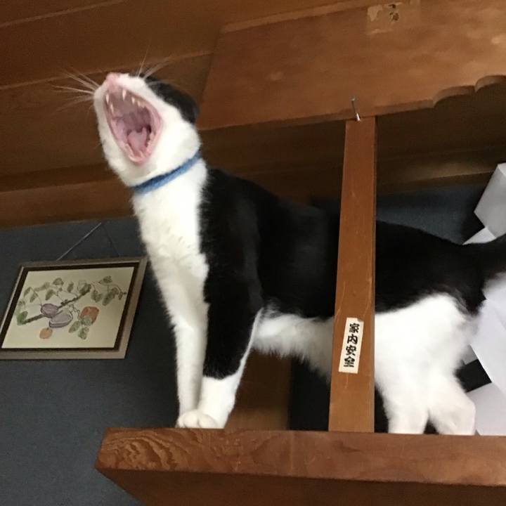 B0944a0c 1528 44f0 8924 1017a19f8f66 1762673055995