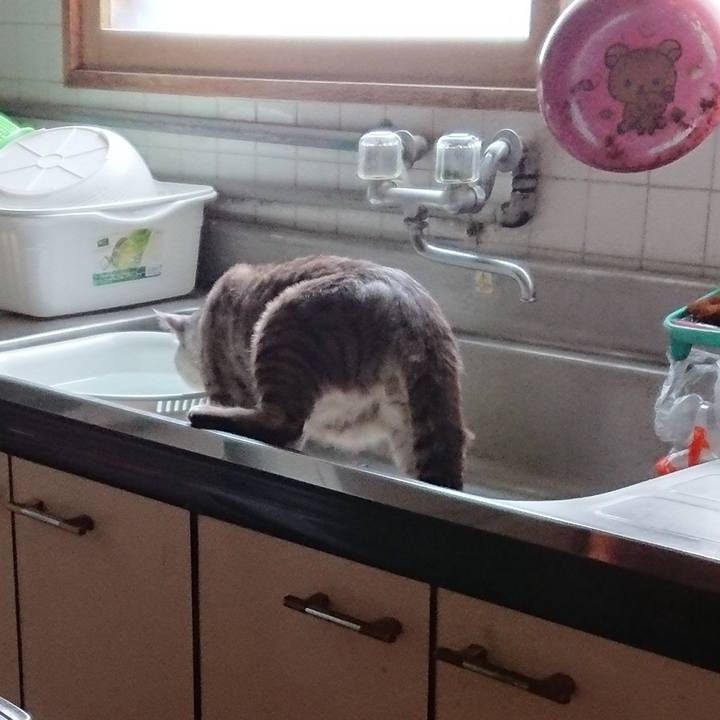 B094593d 4bfe 4f1f adc3 da0731e38db7 1562124043088