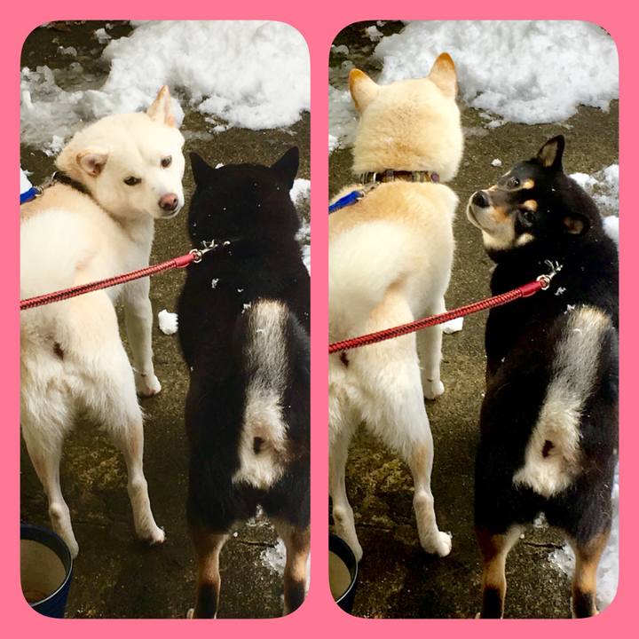 B0949557 cb6d 456d 8127 2bf216e89aab 1520475254689