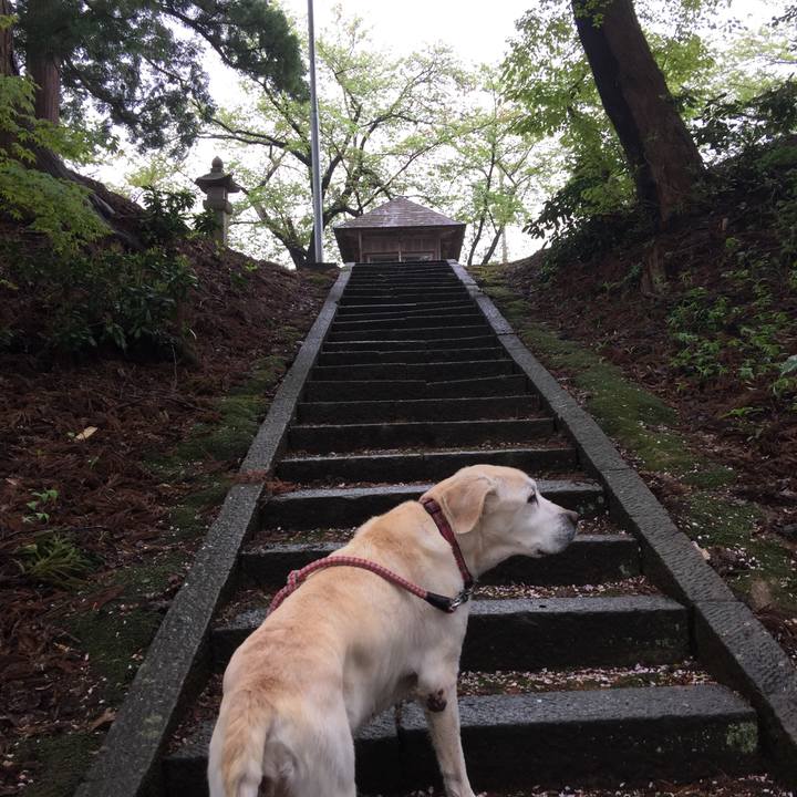 B094b3f8 595f 488a a370 dae7fcbdd00f 1524550119851