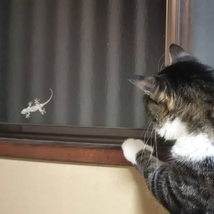 B09551ff bf72 4fef 8aa7 7567eeec044f 1627991061329