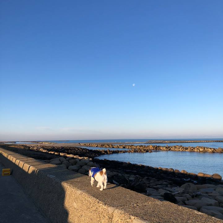 B0955695 5c7c 49cf 80e2 7aa18d8f9eaa 1581467125951