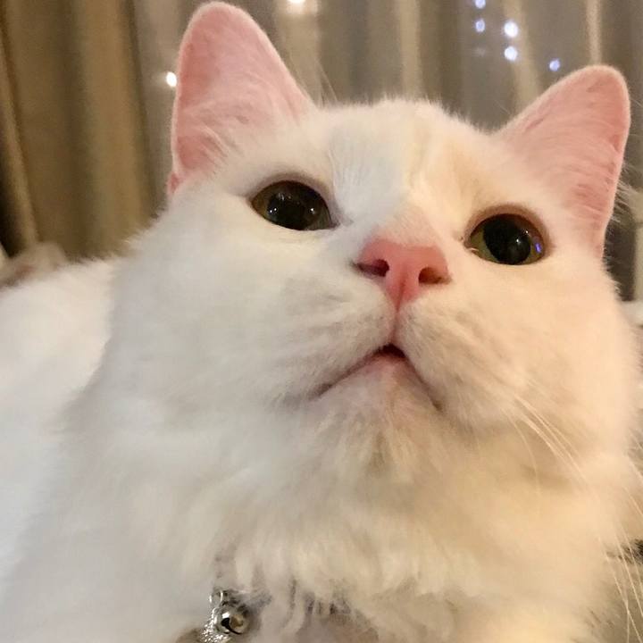 B09576e7 5d03 4fc4 8349 a91cdc7f4b52 1562419196981