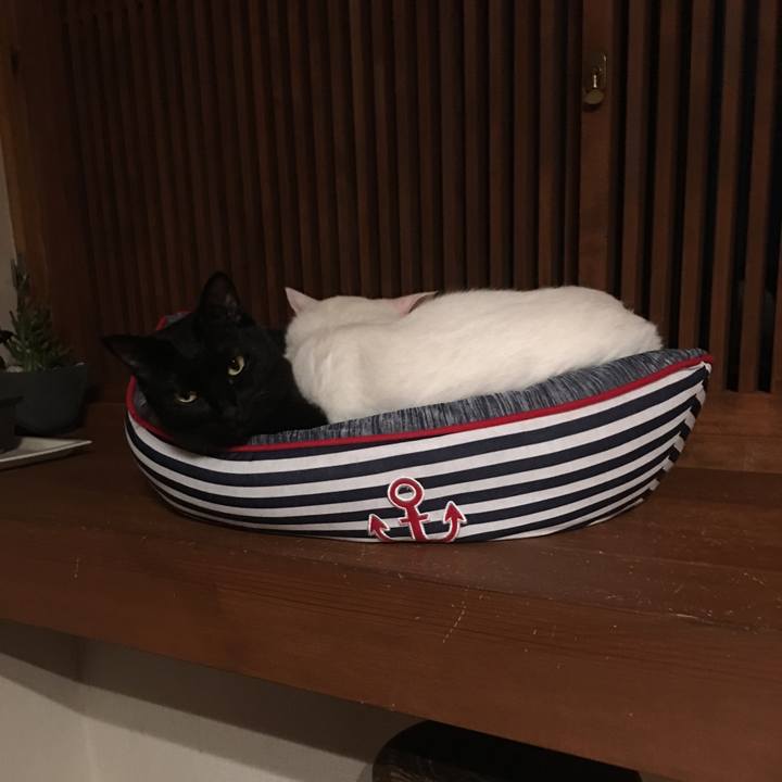 B09583ef d21f 4f16 bd67 34f5528e171a 1570979152865