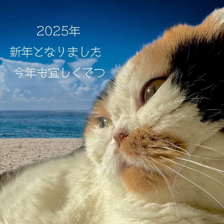 B09593f4 02c7 4e91 8092 cfb46bb27e1d 1735716735146