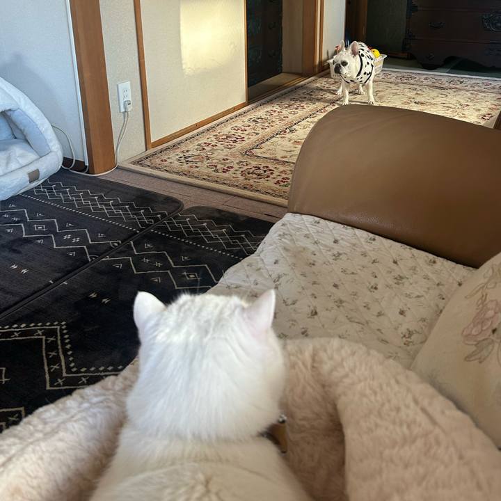 B0959ad7 fa85 44e2 ba72 7e2f6f6ee60e 1768632266324