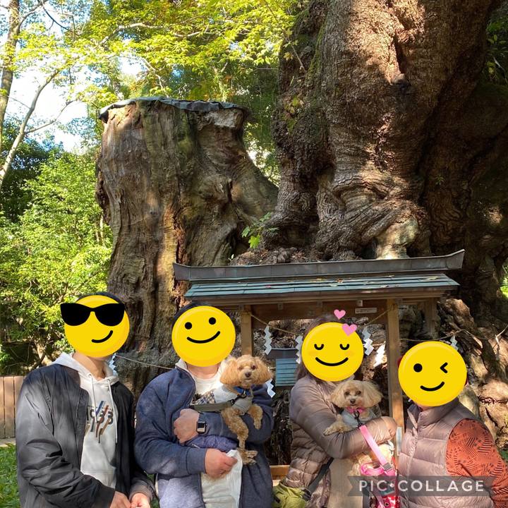 B095b762 5221 4780 891f f0909b993677 1668983298184