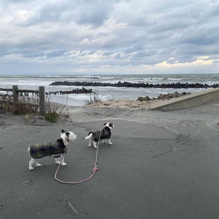 B095c65b f949 4169 a2f2 ef1972fb4e9d 1768693241482