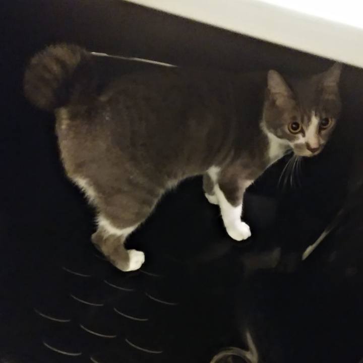 B095ce56 64f5 4be5 9b4b c590dc446ca5 1592136617816