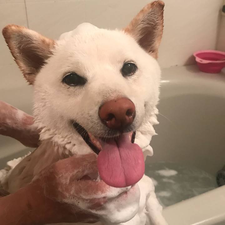 B095f076 61e3 4643 9329 718d99347688 1531736863293