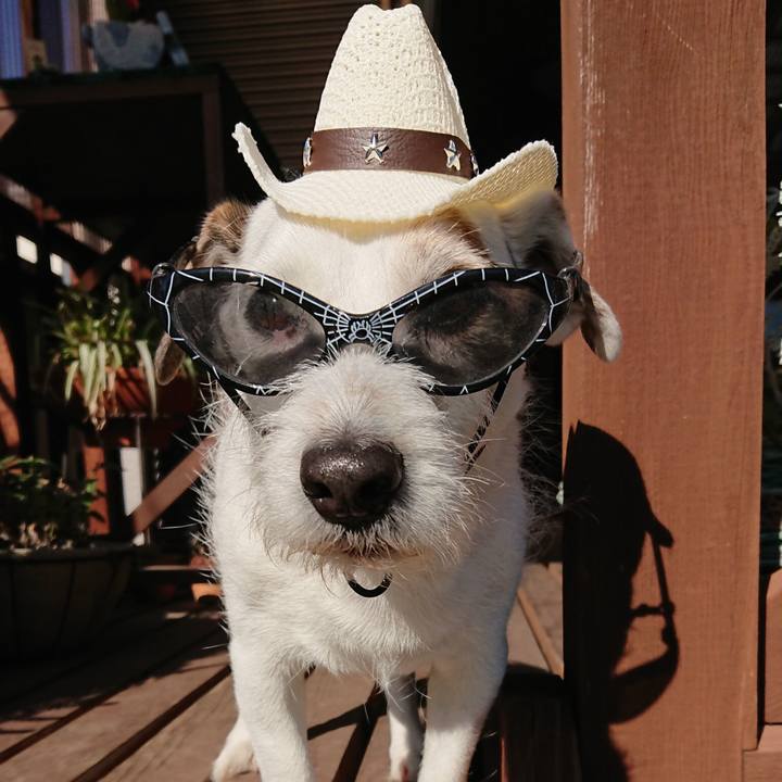 B09623d7 0301 4da8 bdac 2441146868da 1543362922146