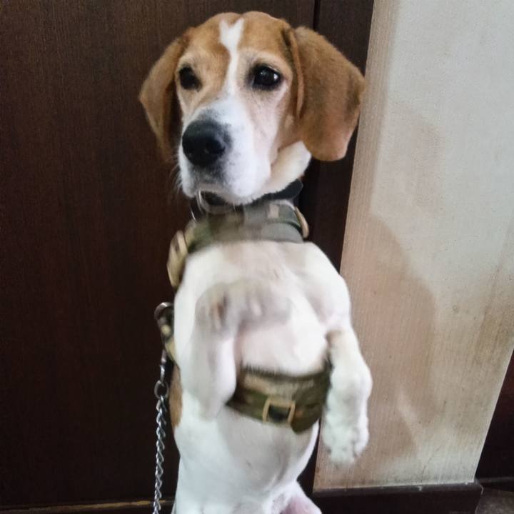 B0966375 d104 43ea 850d 7c43bc76250f 1713008157299