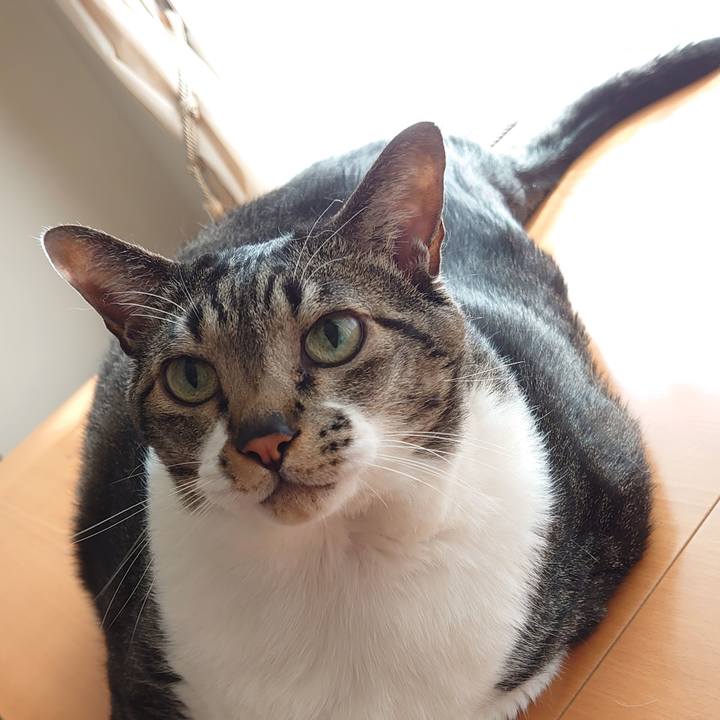 B096737c adda 4457 9f87 c814430daa7c 1622592089909