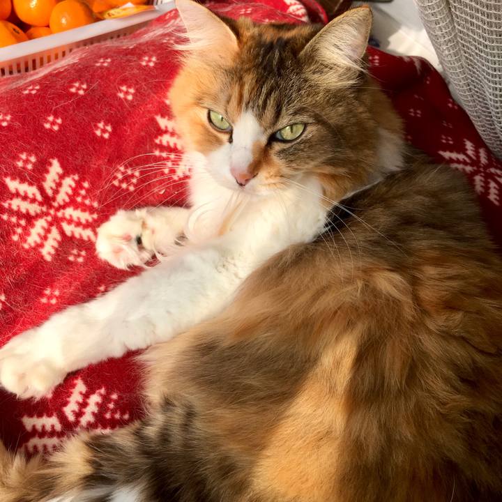 B096be30 251e 4d6d 90d5 583906fbec96 1574842257355