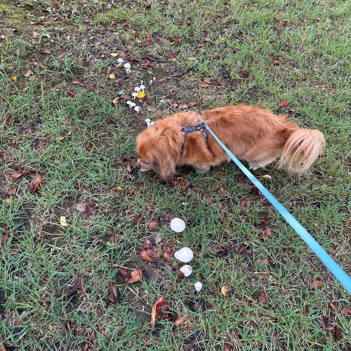 B096e653 7b9e 4fdb b998 66fcffc96b0f 1727731167436