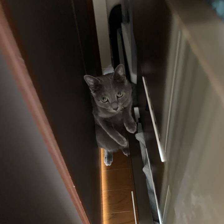 B096e783 d540 462b 9875 2b24c3089d58 1619073066772