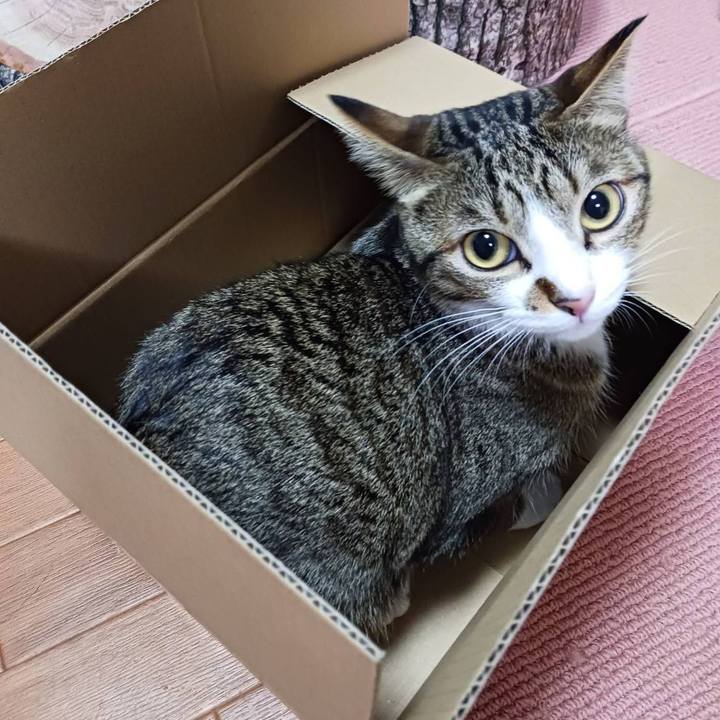 B096ffa3 2164 4efd 84eb 8cf3353ee278 1706795109033