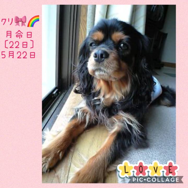 B0970cf0 89b2 4b0d a849 5d14e6565836 1590148134032