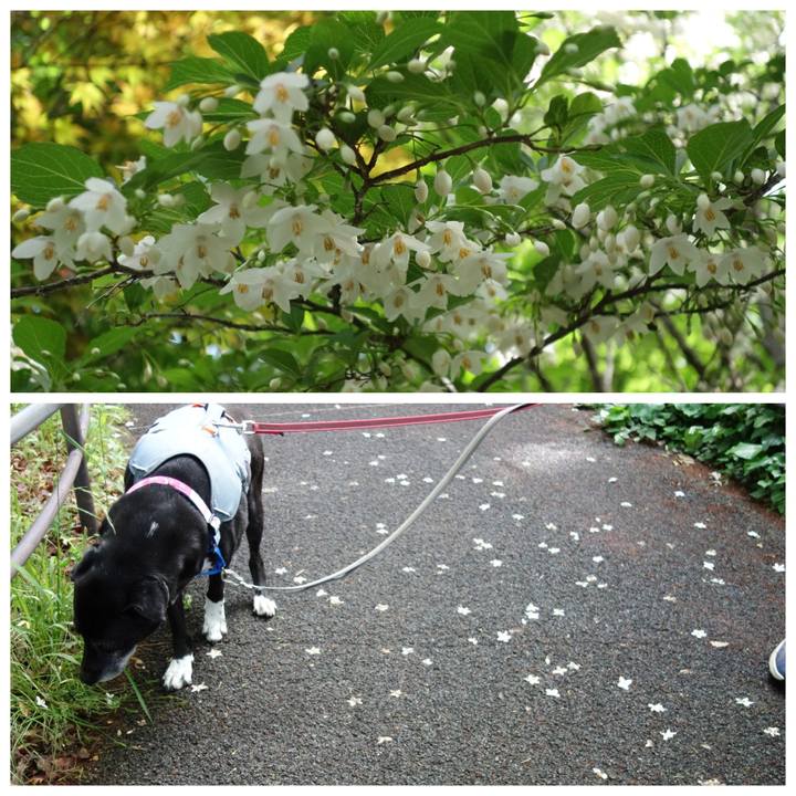 B0971926 d429 4f93 83ad 6f3867a46168 1746927187772