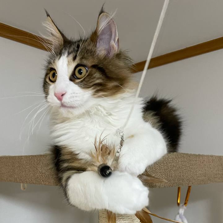 B0971f09 a2e0 4601 b7b9 08216b83a1a7 1635798913566