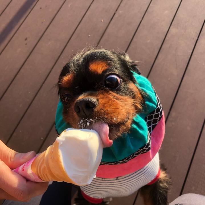 B0973ba3 1f66 4103 94c1 4df5d88c95f4 1550243728576