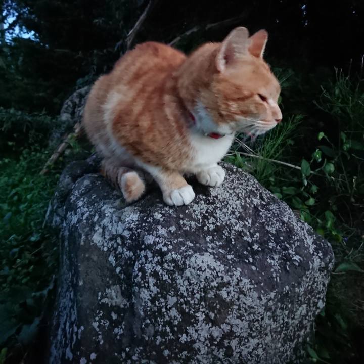 B0974826 5a4e 4b2a bb4b ea45fe56a893 1568884419978