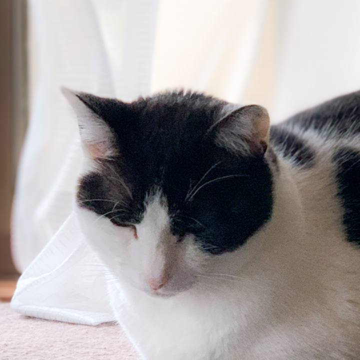 B09774b7 94c9 4bcd 8992 2a12910dd659 1592009851222