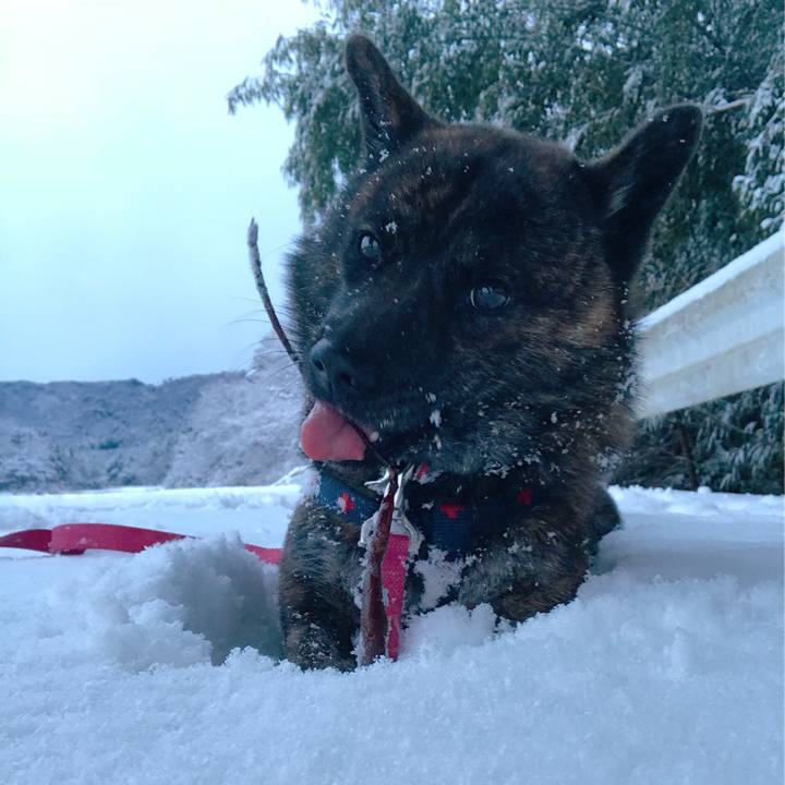 B097d1cf 2ec6 4afa 8677 657886069dbe 1517353457947