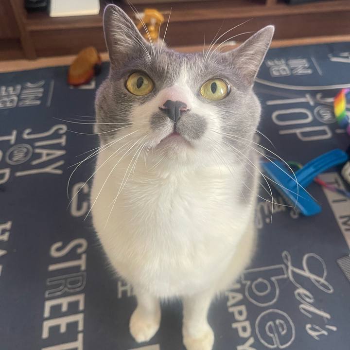 B097e45a 1ea9 46e7 aafd 13aaf8ce8566 1712457070949