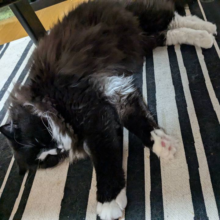 B0980f27 5a63 47ad 9108 42e1173c5866 1724073063201