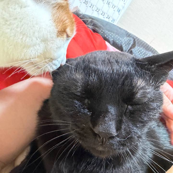 B098125a 7134 469a b83e b9e8c5385db4 1772368934579