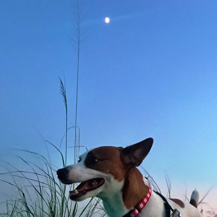 B098740b d6f9 491b 9a2a b3d64b1961e7 1537266285781