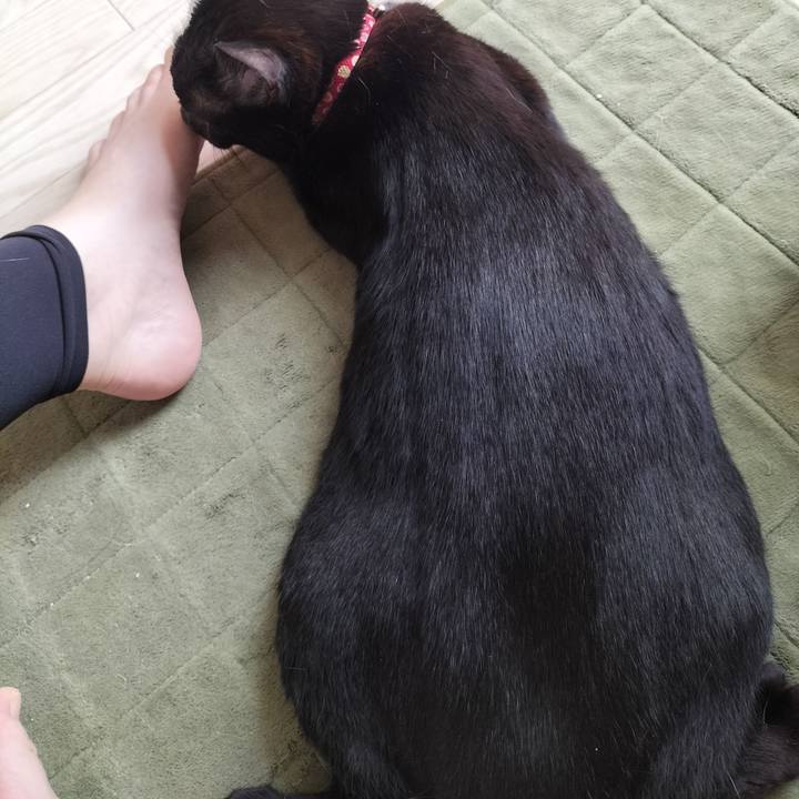 B098a225 ad3b 496c b31c e1b1e0e2fb01 1632018036237