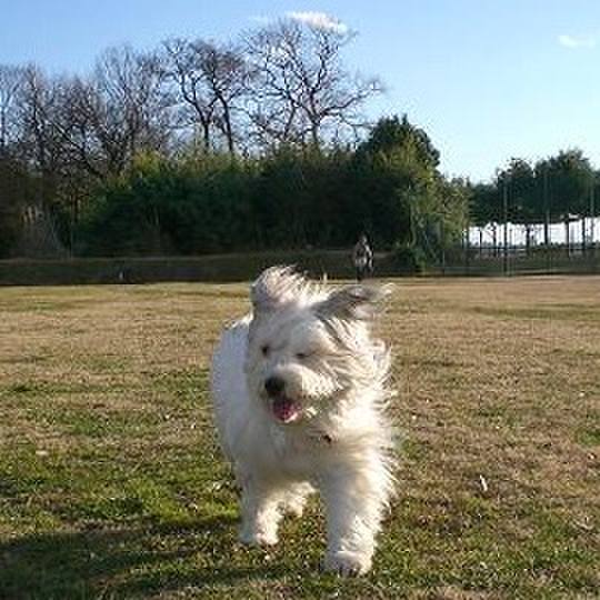 B098df2b e746 4f91 acf8 9225c5fd4c3a 1515484846810