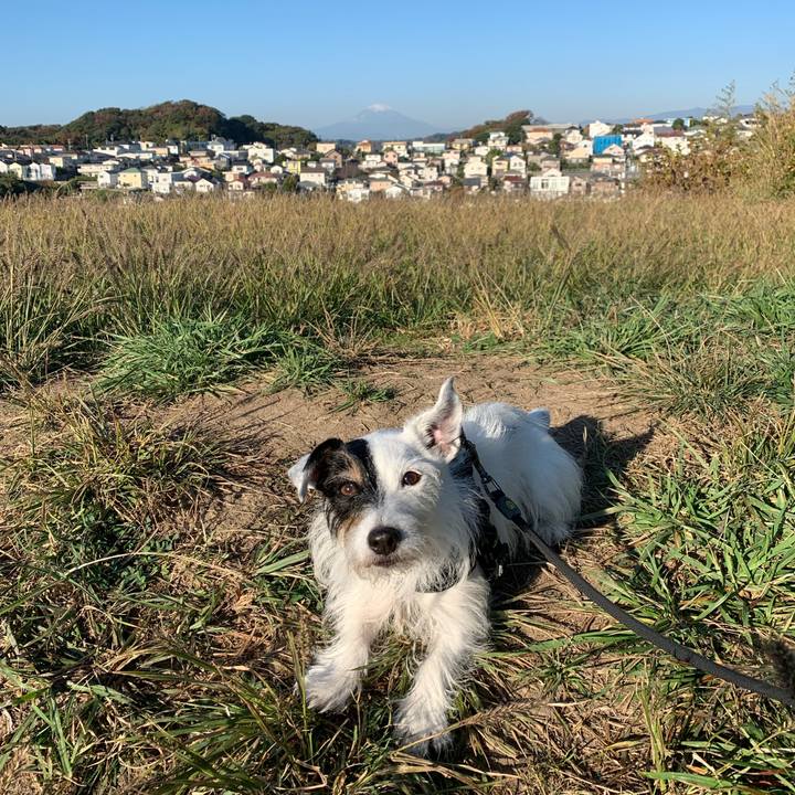 B099075b 6107 40e7 bc76 dffde21bf736 1700091451314