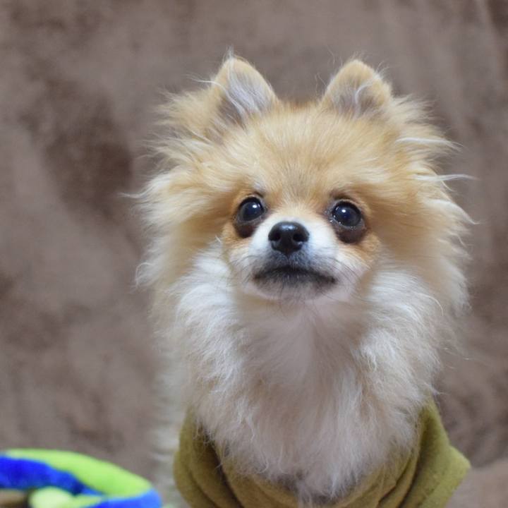 B09917c4 d01a 4cdc 86d4 f430556246fb 1520855592528