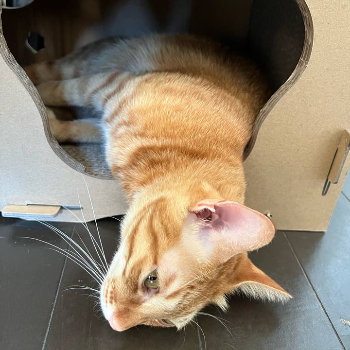 B0995090 f7d3 4a49 b1c6 1734259d5083 1641531062996