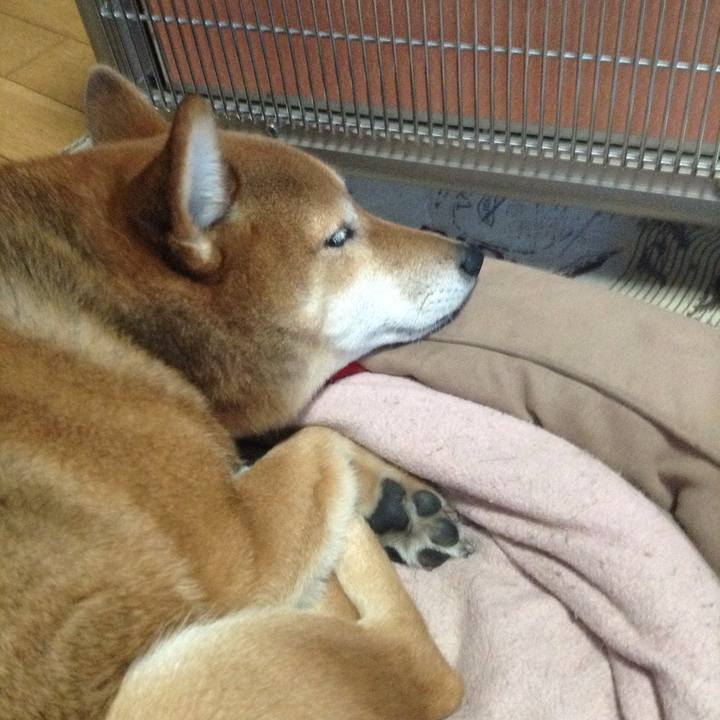 B0995ca6 1884 4721 8c16 bfec98430f9d 1513639822689