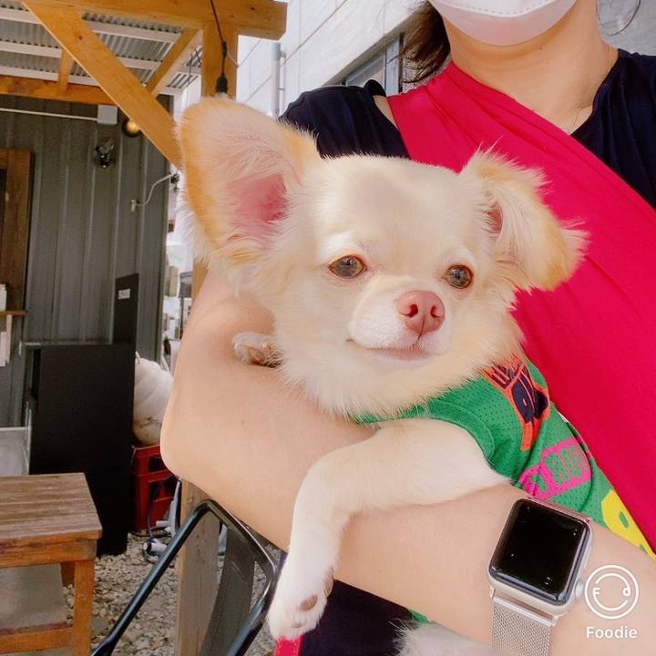 B0996d2e 3099 421c b513 158930bd7807 1630207588857