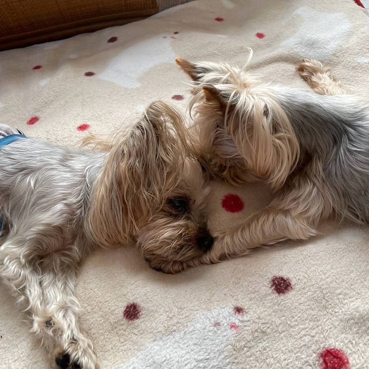 B09996b7 be41 46ae 95da 0812bc06e88b 1702029990154