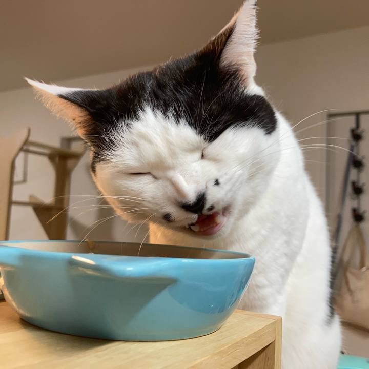 B099f60a bae6 44ca ac9e 1182a22c3357 1773608049742